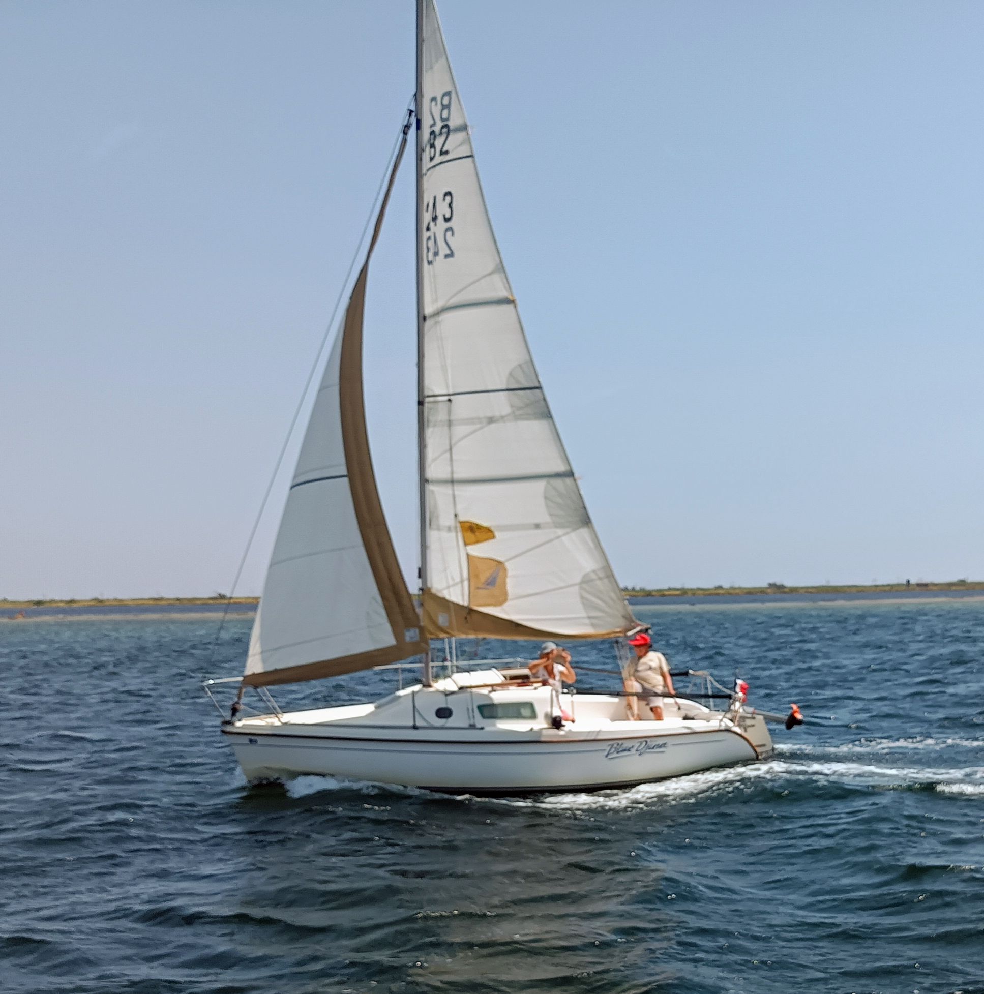 voilier rejea