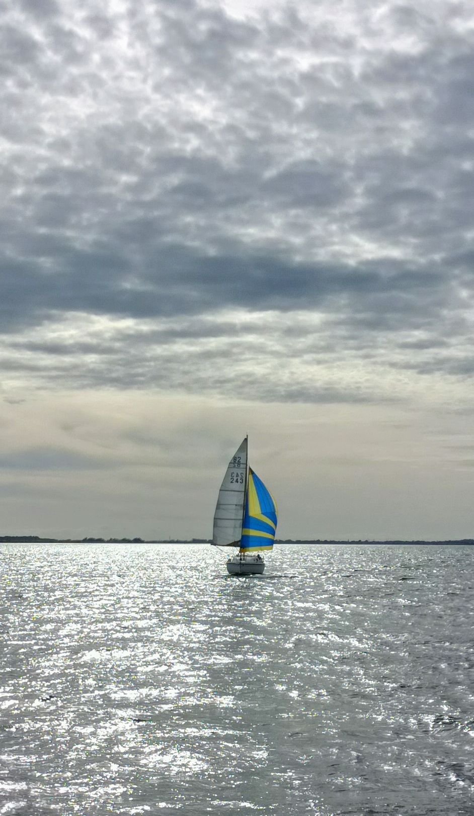 voile réjéa auvents
